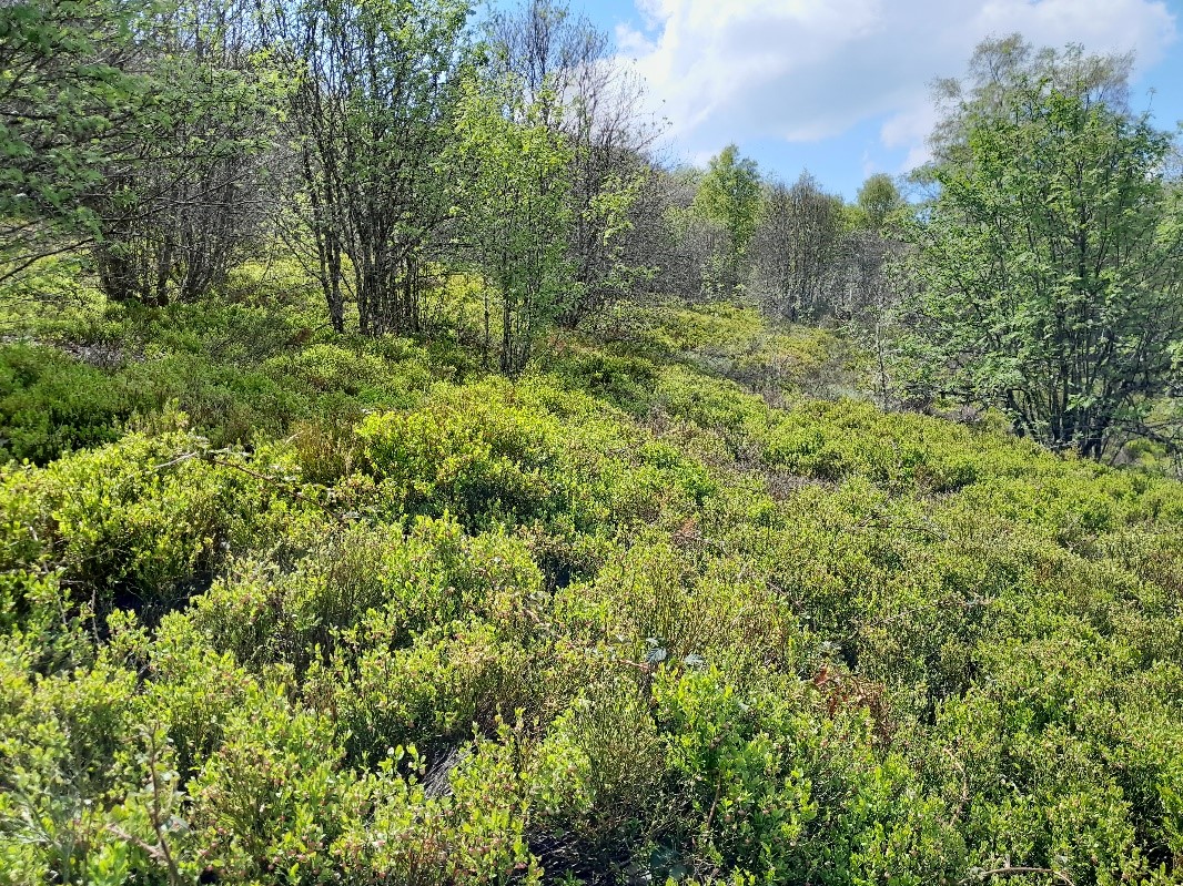 SainteAgathe Toute l'actualité de la commune de SainteAgathe, Puy